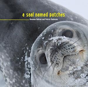 Seal Named Patches