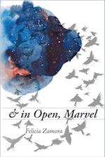 & in Open, Marvel