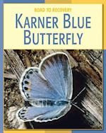 Karner Blue Butterfly