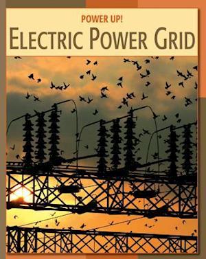 Electric Power Grid