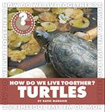 How Do We Live Together? Turtles