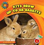 Kits Grow Up to Be Rabbits