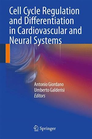 Cell Cycle Regulation and Differentiation in Cardiovascular and Neural Systems