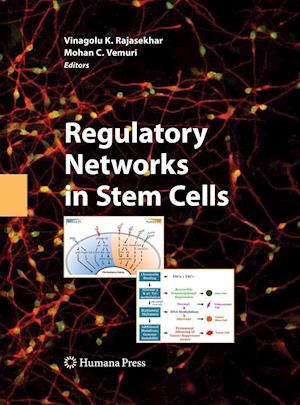 Regulatory Networks in Stem Cells