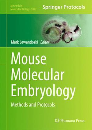 Mouse Molecular Embryology