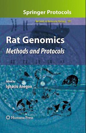 Rat Genomics