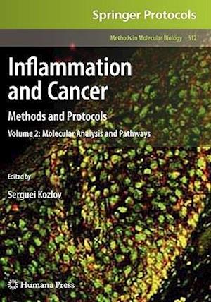 Inflammation and Cancer