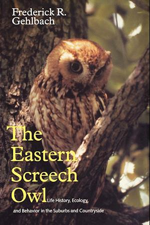 THE EASTERN SCREECH OWL