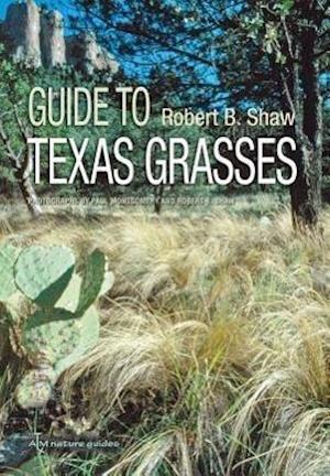 Guide to Texas Grasses