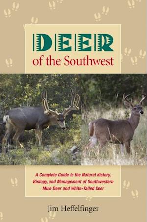 Deer of the Southwest