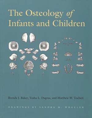 Osteology of Infants and Children