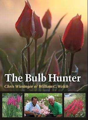 The Bulb Hunter