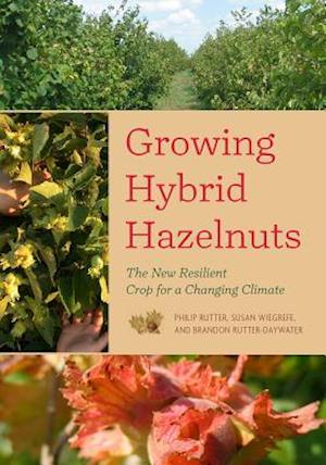 Growing Hybrid Hazelnuts