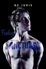 Finding Sanctuary 