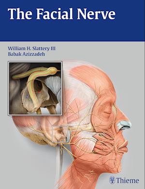 The Facial Nerve