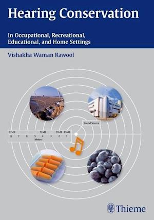 Hearing Conservation : In Occupational, Recreational, Educational, and Home Settings