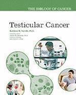 Testicular Cancer