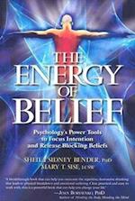 The Energy of Belief