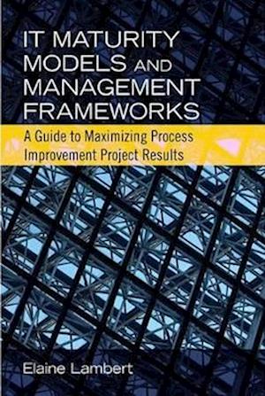 IT Maturity Models and Management Frameworks