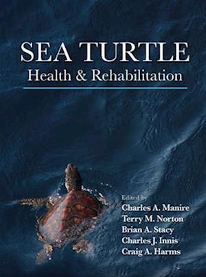Sea Turtle Health & Rehabilitation