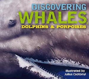 Discovering Whales, Dolphins and   Porpoises
