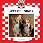 Welsh Corgis