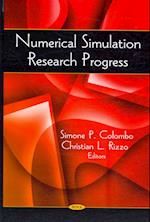 Numerical Simulation Research Progress