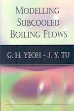 Modelling Subcooled Boiling Flows