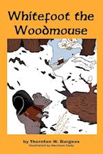 Whitefoot the Woodmouse