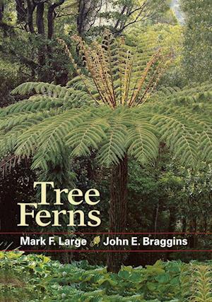 TREE FERNS