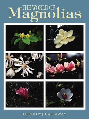 The World of Magnolias