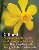 Daffodil