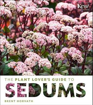 Plant Lover's Guide to Sedums