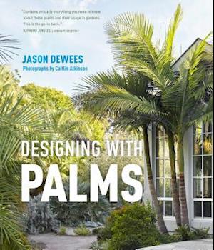 Designing with Palms