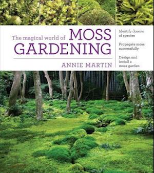 The Magical World of Moss Gardening