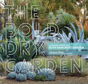 Bold Dry Garden