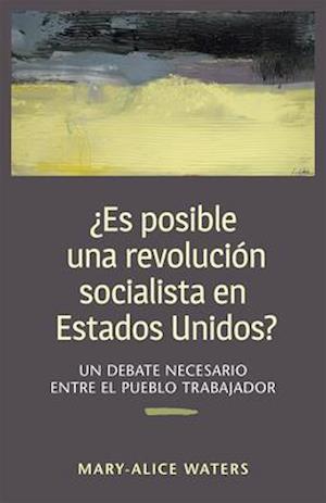 ¿es Posible Una Revolución Socialista En Estados Unidos?