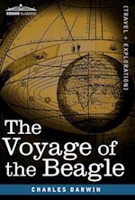 The Voyage of the Beagle