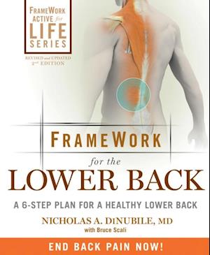 FrameWork for the Lower Back