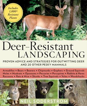 Deer-Resistant Landscaping