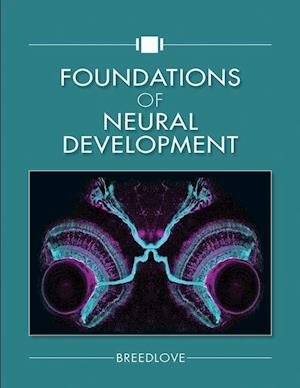Foundations of Neural Development