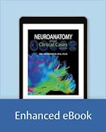 Neuroanatomy through Clinical Cases