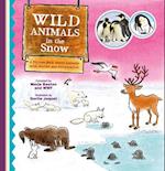 Wild Animals in the Snow. a Picture Book about Animals with Stories and Information