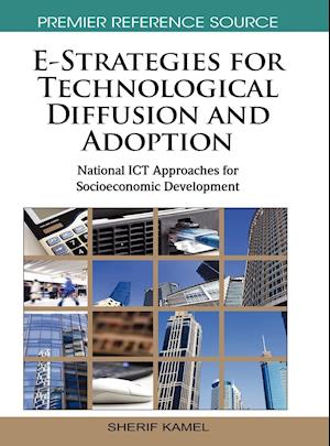 E-Strategies for Technological Diffusion and Adoption