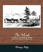 The Mule - A Treatise on the Breeding, Training, and Uses to Which He May Be Put