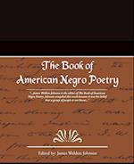 The Book of American Negro Poetry