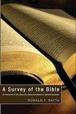 A Survey of the Bible