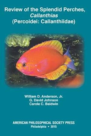 Review of the Splendid Perches, Callanthias (Percoidei