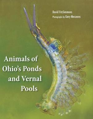 Animals of Ohio's Ponds and Vernal Pools