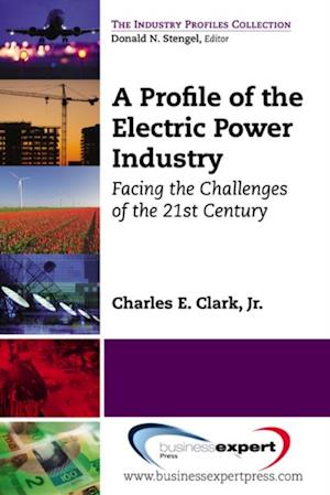 Profile of the Electric Power Industry